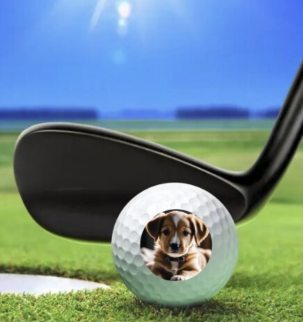 Personalised Printed Golf Balls - Full Colour, Image or Text | Wedding | Bucks N - Picture 3 of 18