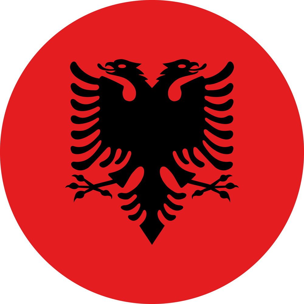 ALBANIA COUNTRY FLAG | STICKER | DECAL | MULTIPLE STYLES TO CHOOSE FROM - Bild 2 von 9