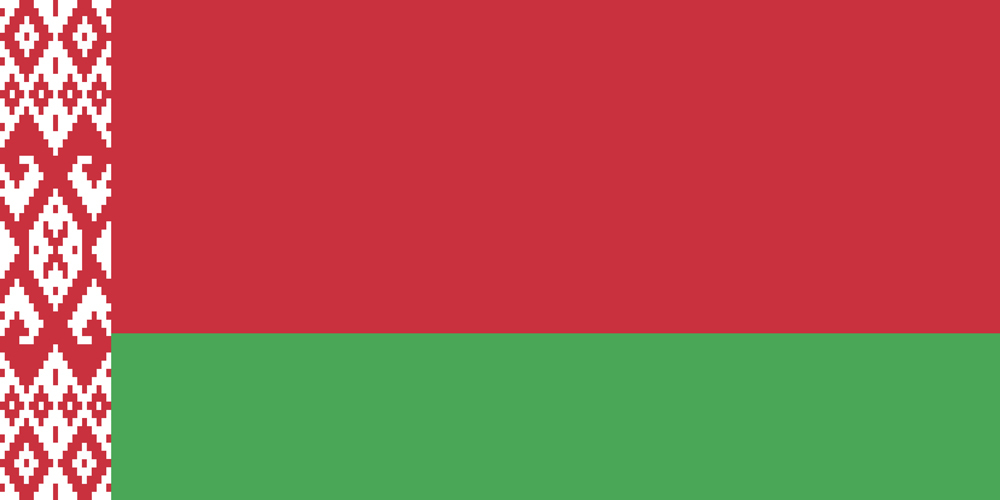 BELARUS COUNTRY FLAG | STICKER | DECAL | MULTIPLE STYLES TO CHOOSE FROM - Foto 7 di 9
