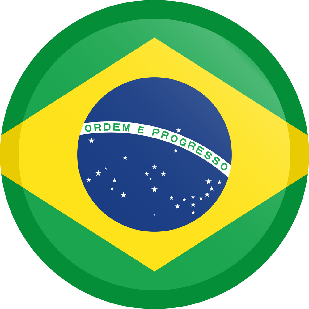 BRAZIL COUNTRY FLAG | STICKER | DECAL | MULTIPLE STYLES TO CHOOSE FROM - Picture 3 of 9