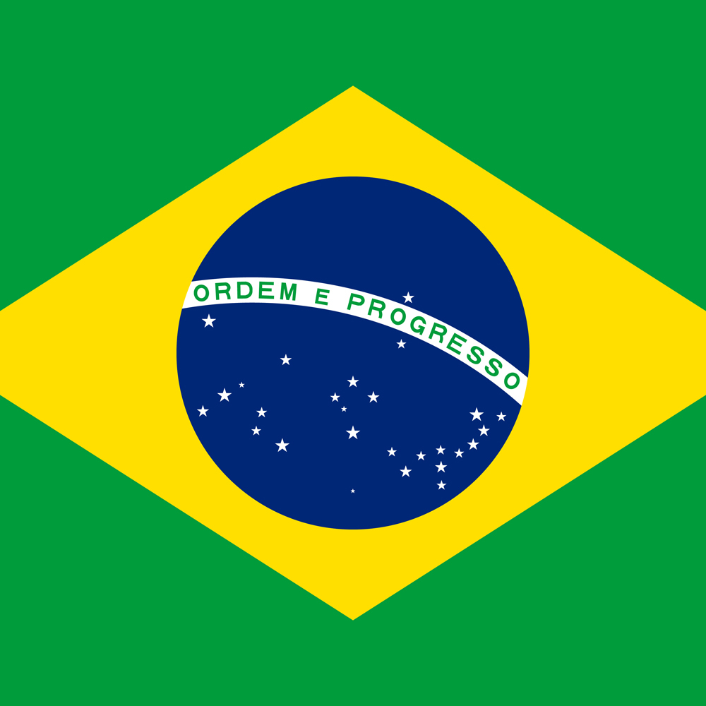 BRAZIL COUNTRY FLAG | STICKER | DECAL | MULTIPLE STYLES TO CHOOSE FROM - Picture 6 of 9
