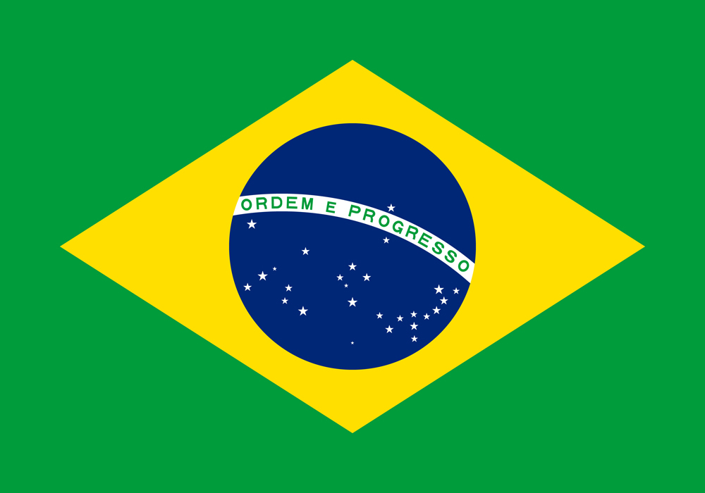 BRAZIL COUNTRY FLAG | STICKER | DECAL | MULTIPLE STYLES TO CHOOSE FROM - Picture 7 of 9