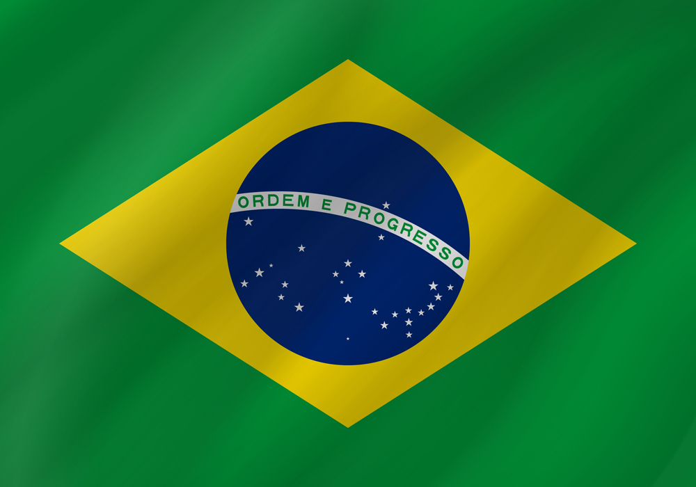 BRAZIL COUNTRY FLAG | STICKER | DECAL | MULTIPLE STYLES TO CHOOSE FROM - Picture 8 of 9