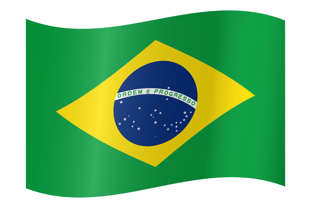 BRAZIL COUNTRY FLAG | STICKER | DECAL | MULTIPLE STYLES TO CHOOSE FROM - Picture 9 of 9
