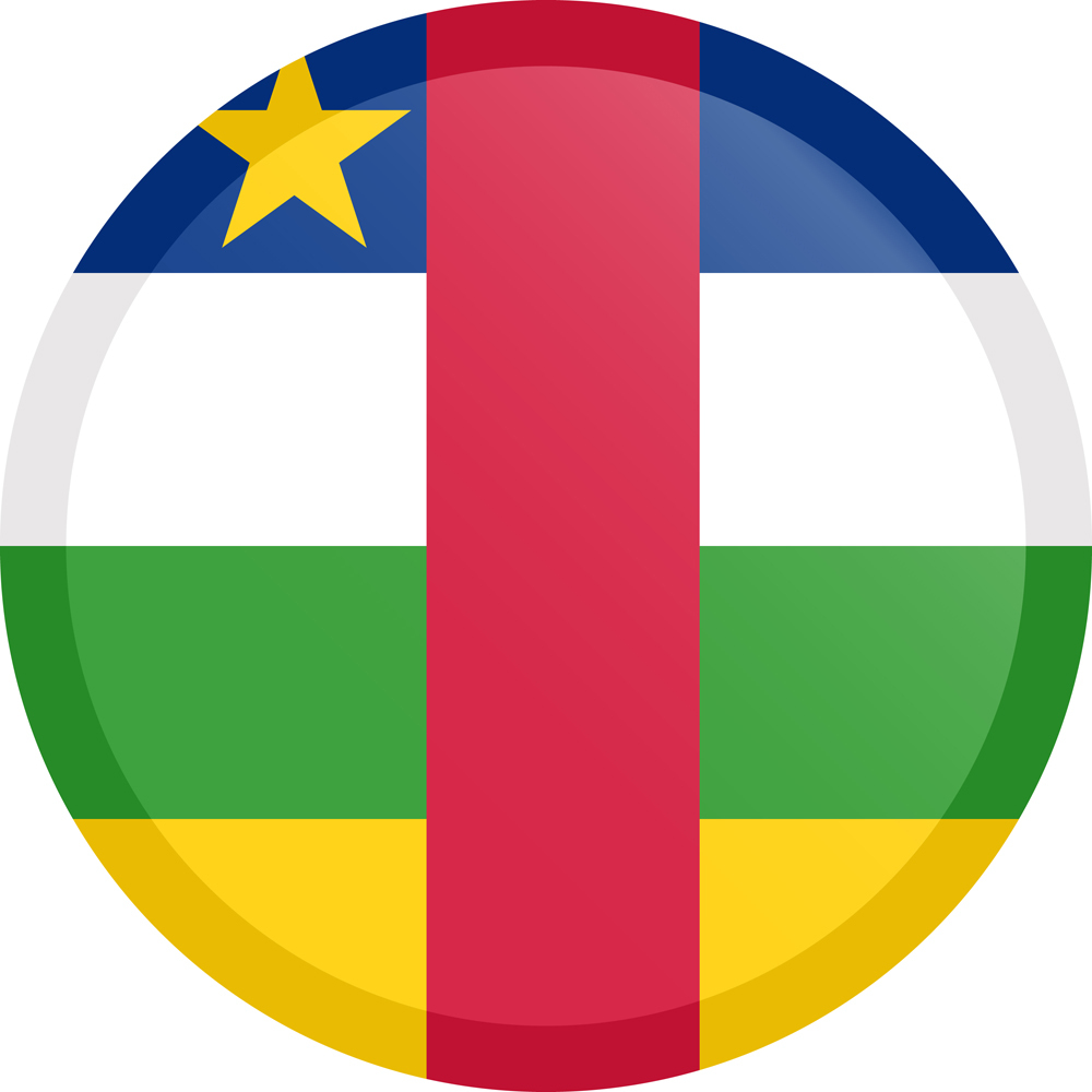 CENTRAL AFRICA REPUBLIC COUNTRY FLAG | STICKER | DECAL | MULTIPLE STYLES TO CHOO - Foto 3 di 9