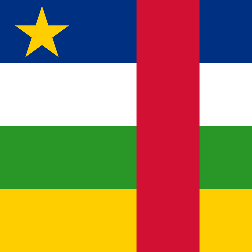 CENTRAL AFRICA REPUBLIC COUNTRY FLAG | STICKER | DECAL | MULTIPLE STYLES TO CHOO - Foto 6 di 9