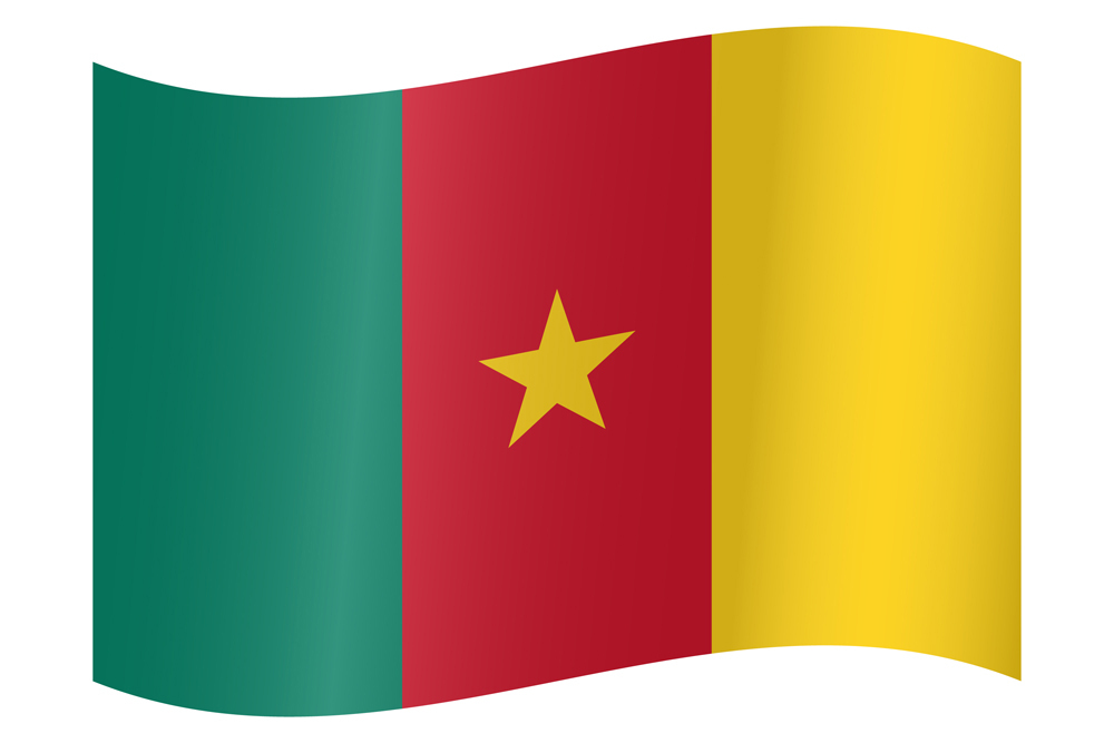 CAMEROON COUNTRY FLAG | STICKER | DECAL | MULTIPLE STYLES TO CHOOSE ...