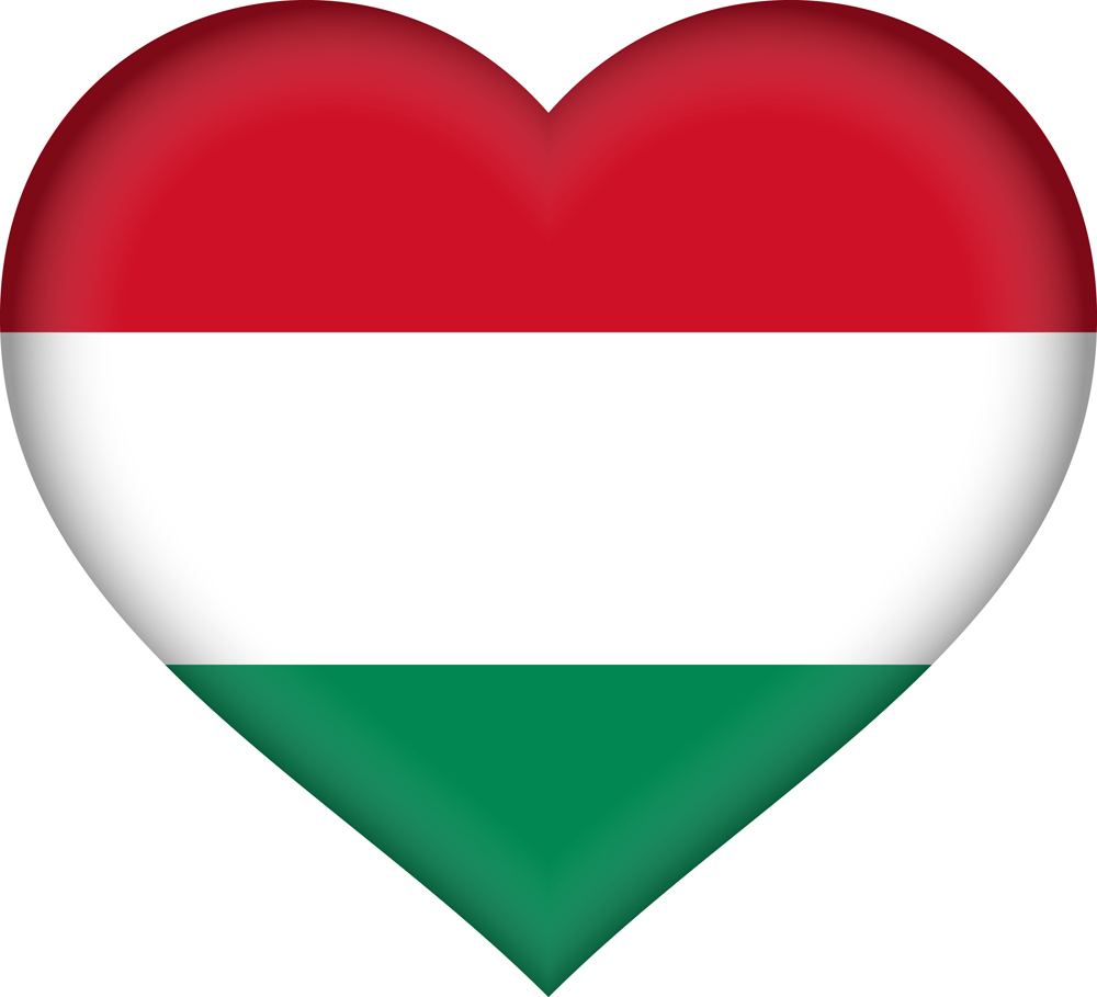 HUNGARY COUNTRY FLAG | STICKER | DECAL | MULTIPLE STYLES TO CHOOSE FROM - Picture 5 of 9