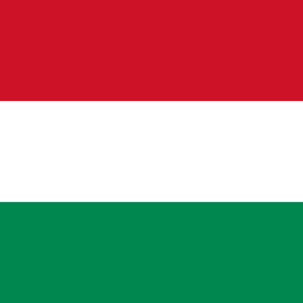 HUNGARY COUNTRY FLAG | STICKER | DECAL | MULTIPLE STYLES TO CHOOSE FROM - Picture 6 of 9