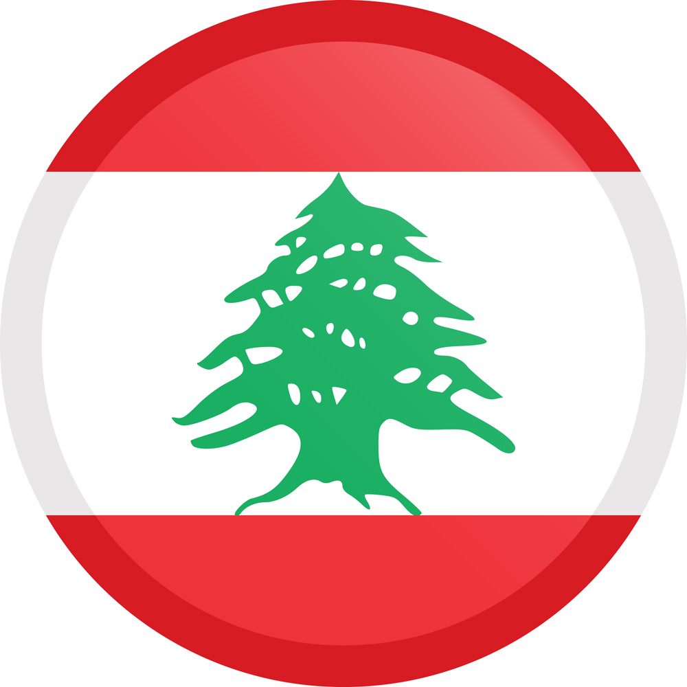 LEBANON COUNTRY FLAG | STICKER | DECAL | MULTIPLE STYLES TO CHOOSE FROM - Picture 3 of 9