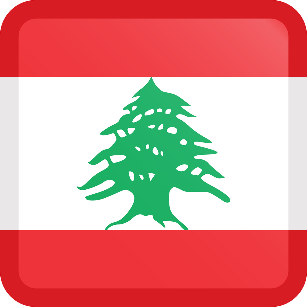 LEBANON COUNTRY FLAG | STICKER | DECAL | MULTIPLE STYLES TO CHOOSE FROM - Picture 4 of 9