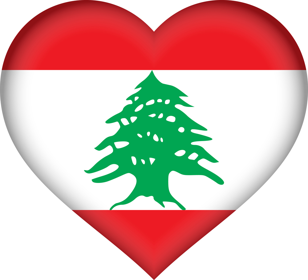 LEBANON COUNTRY FLAG | STICKER | DECAL | MULTIPLE STYLES TO CHOOSE FROM - Picture 5 of 9