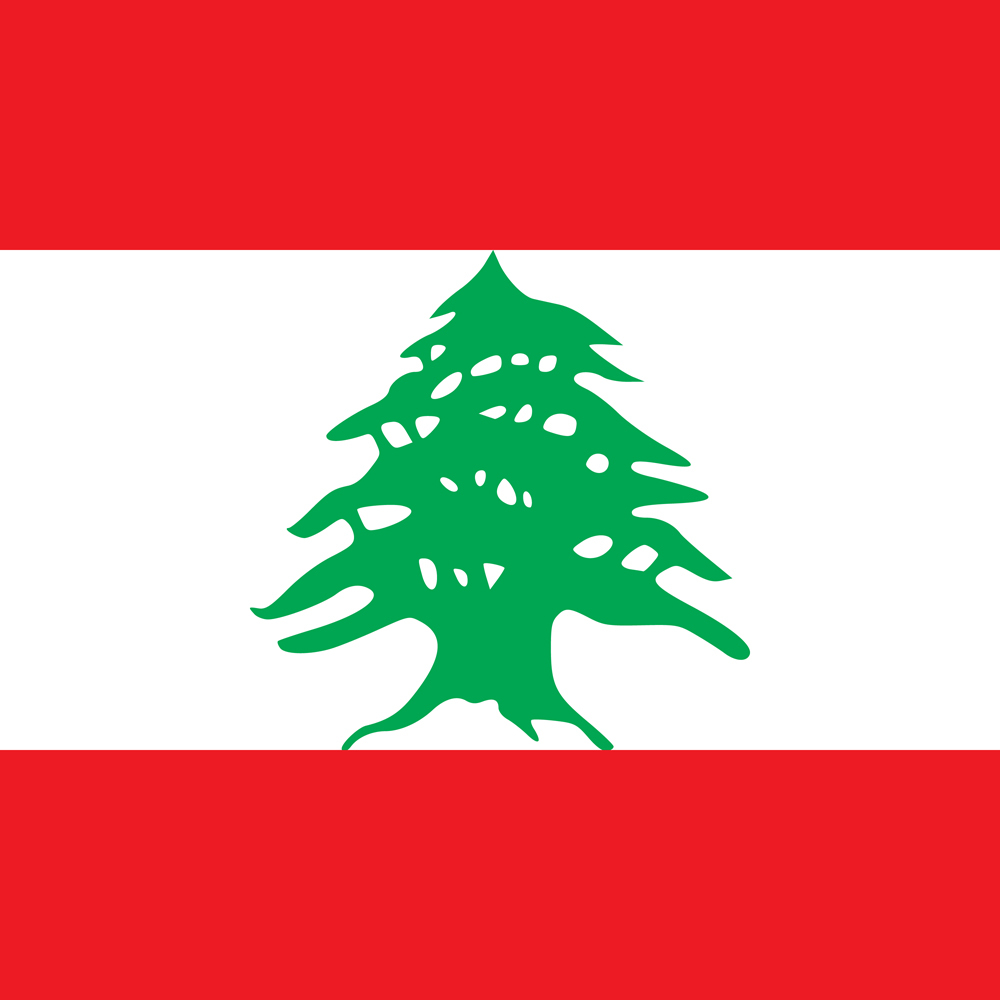 LEBANON COUNTRY FLAG | STICKER | DECAL | MULTIPLE STYLES TO CHOOSE FROM - Picture 6 of 9