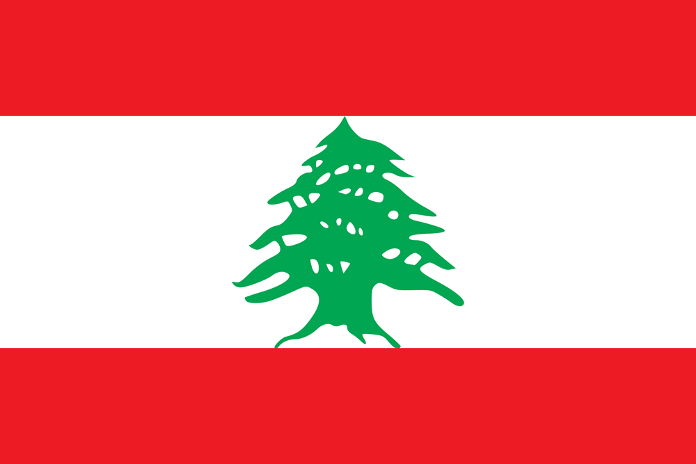 LEBANON COUNTRY FLAG | STICKER | DECAL | MULTIPLE STYLES TO CHOOSE FROM - Picture 7 of 9