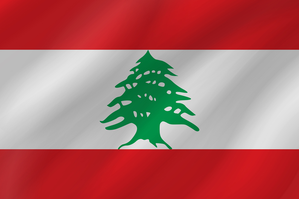 LEBANON COUNTRY FLAG | STICKER | DECAL | MULTIPLE STYLES TO CHOOSE FROM - Picture 8 of 9