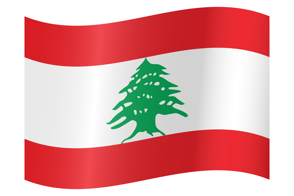LEBANON COUNTRY FLAG | STICKER | DECAL | MULTIPLE STYLES TO CHOOSE FROM - Picture 9 of 9