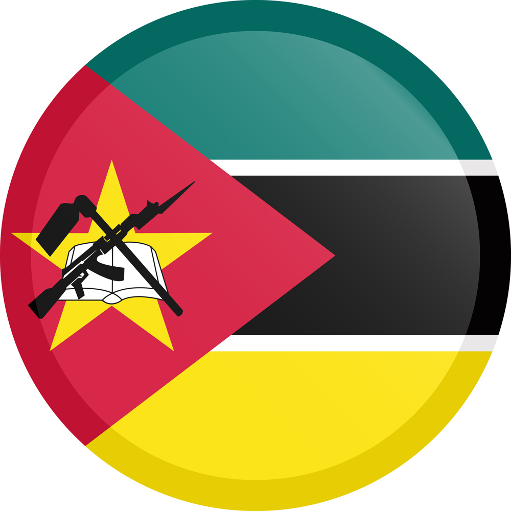 MOZAMBIQUE COUNTRY FLAG | STICKER | DECAL | MULTIPLE STYLES TO CHOOSE FROM - Picture 3 of 9