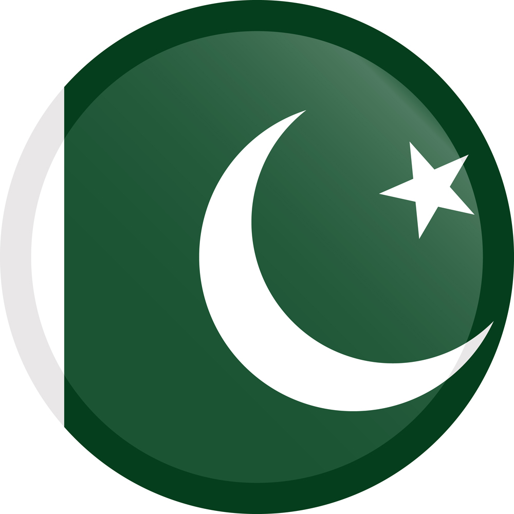 PAKISTAN COUNTRY FLAG | STICKER | DECAL | MULTIPLE STYLES TO CHOOSE FROM - Picture 3 of 9