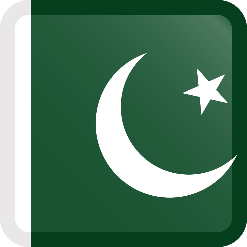 PAKISTAN COUNTRY FLAG | STICKER | DECAL | MULTIPLE STYLES TO CHOOSE FROM - Picture 4 of 9