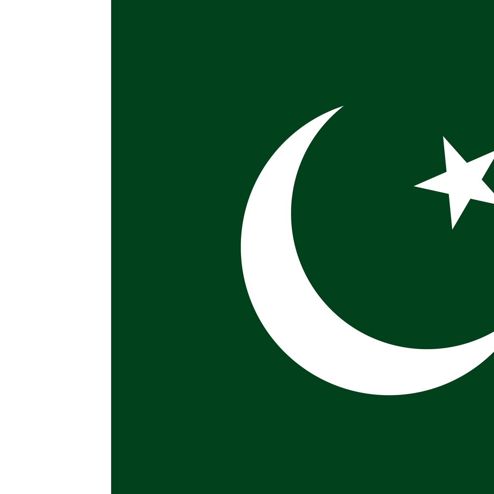 PAKISTAN COUNTRY FLAG | STICKER | DECAL | MULTIPLE STYLES TO CHOOSE FROM - Picture 6 of 9