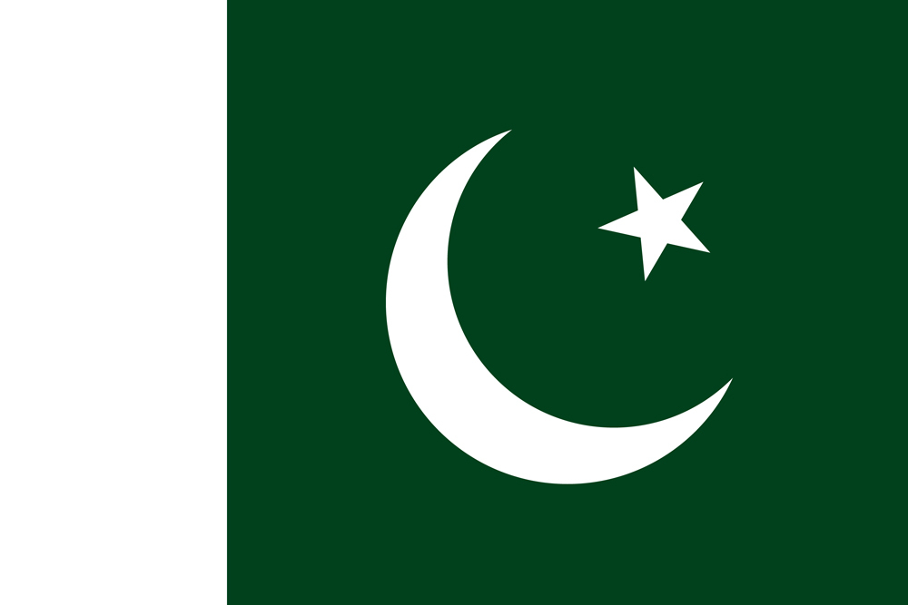 PAKISTAN COUNTRY FLAG | STICKER | DECAL | MULTIPLE STYLES TO CHOOSE FROM - Picture 7 of 9