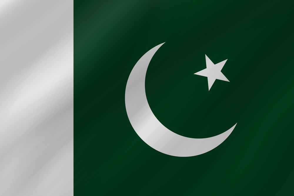 PAKISTAN COUNTRY FLAG | STICKER | DECAL | MULTIPLE STYLES TO CHOOSE FROM - Picture 8 of 9