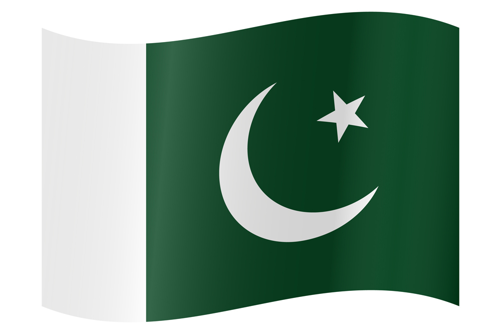 PAKISTAN COUNTRY FLAG | STICKER | DECAL | MULTIPLE STYLES TO CHOOSE FROM - Picture 9 of 9