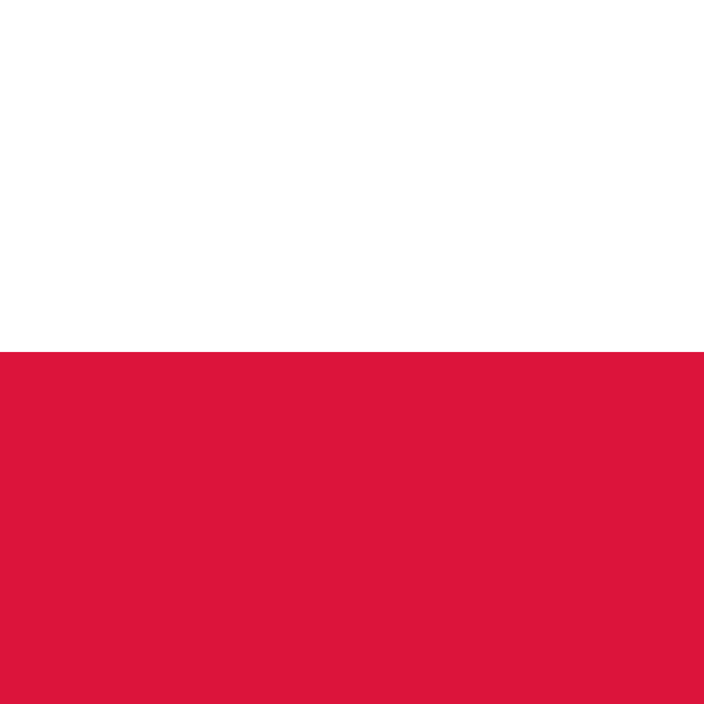 POLAND COUNTRY FLAG | STICKER | DECAL | MULTIPLE STYLES TO CHOOSE FROM - Picture 6 of 9