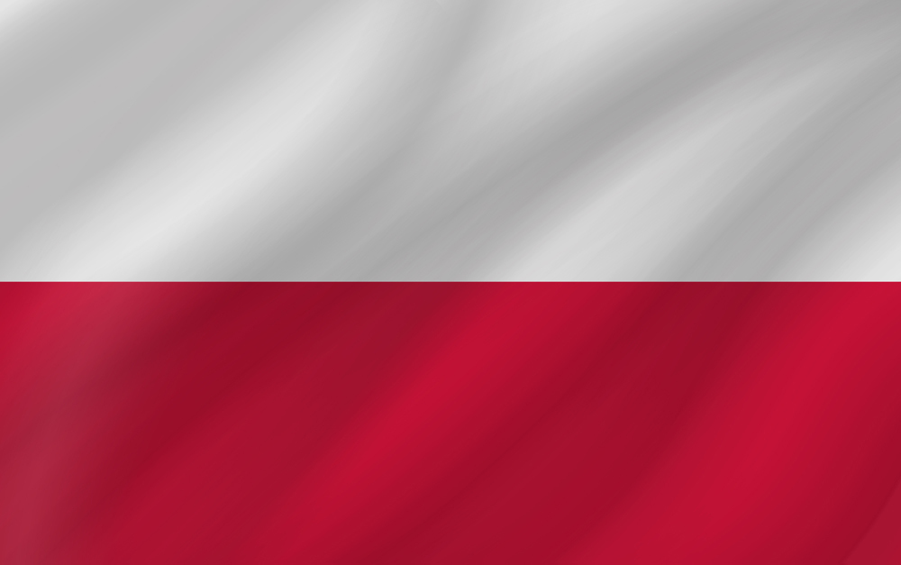 POLAND COUNTRY FLAG | STICKER | DECAL | MULTIPLE STYLES TO CHOOSE FROM - Picture 8 of 9