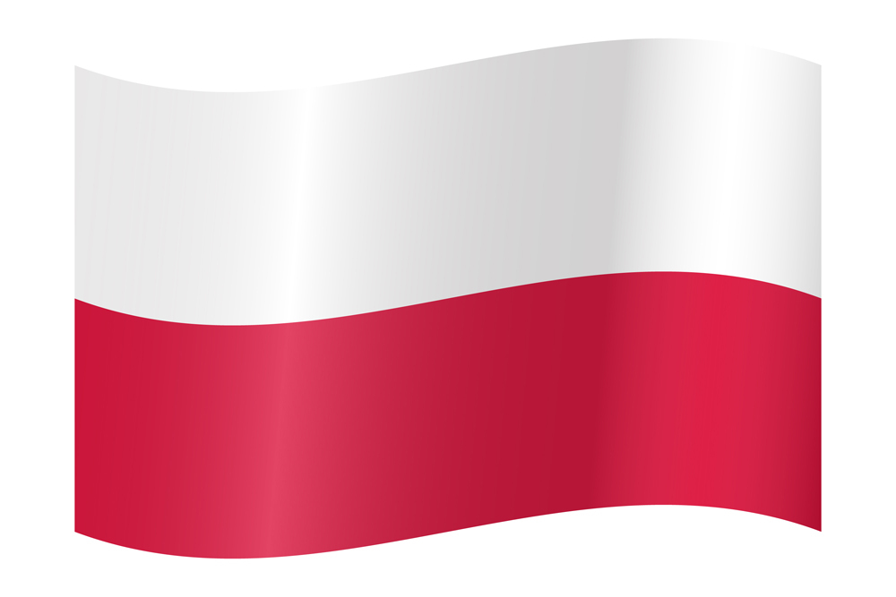 POLAND COUNTRY FLAG | STICKER | DECAL | MULTIPLE STYLES TO CHOOSE FROM - Picture 9 of 9