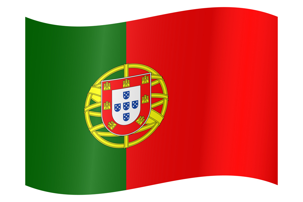 PORTUGAL COUNTRY FLAG | STICKER | DECAL | MULTIPLE STYLES TO CHOOSE FROM - Picture 9 of 9