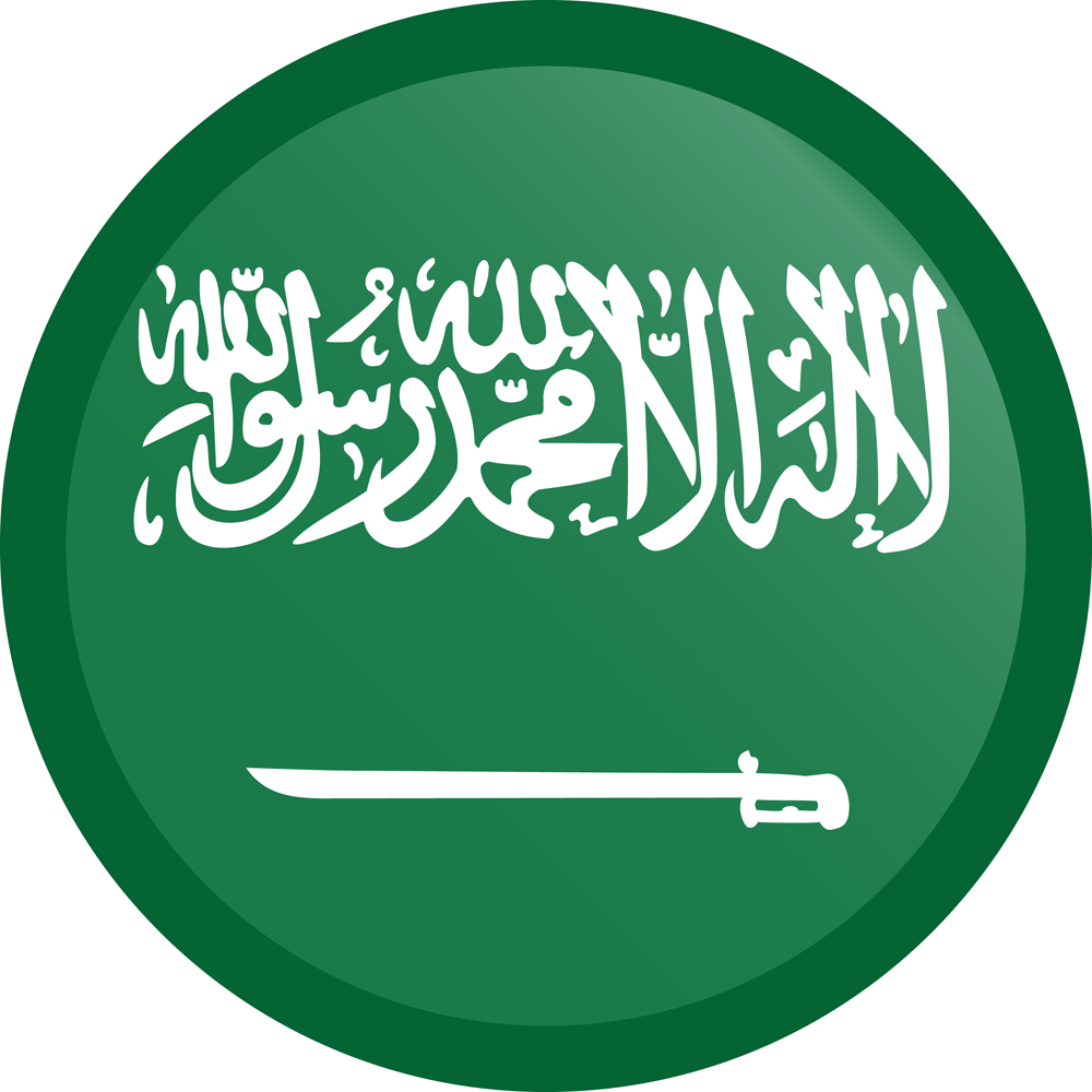 SAUDI ARABIA COUNTRY FLAG | STICKER | DECAL | MULTIPLE STYLES TO CHOOSE FROM - Bild 3 von 9