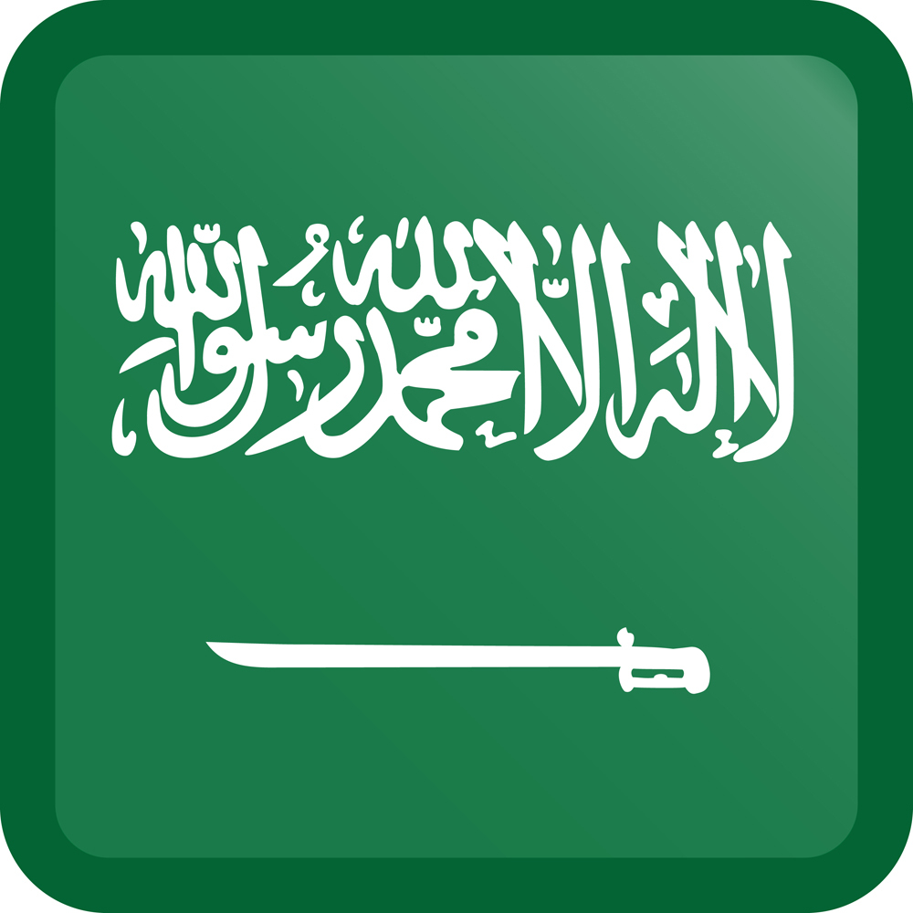 SAUDI ARABIA COUNTRY FLAG | STICKER | DECAL | MULTIPLE STYLES TO CHOOSE FROM - Bild 4 von 9