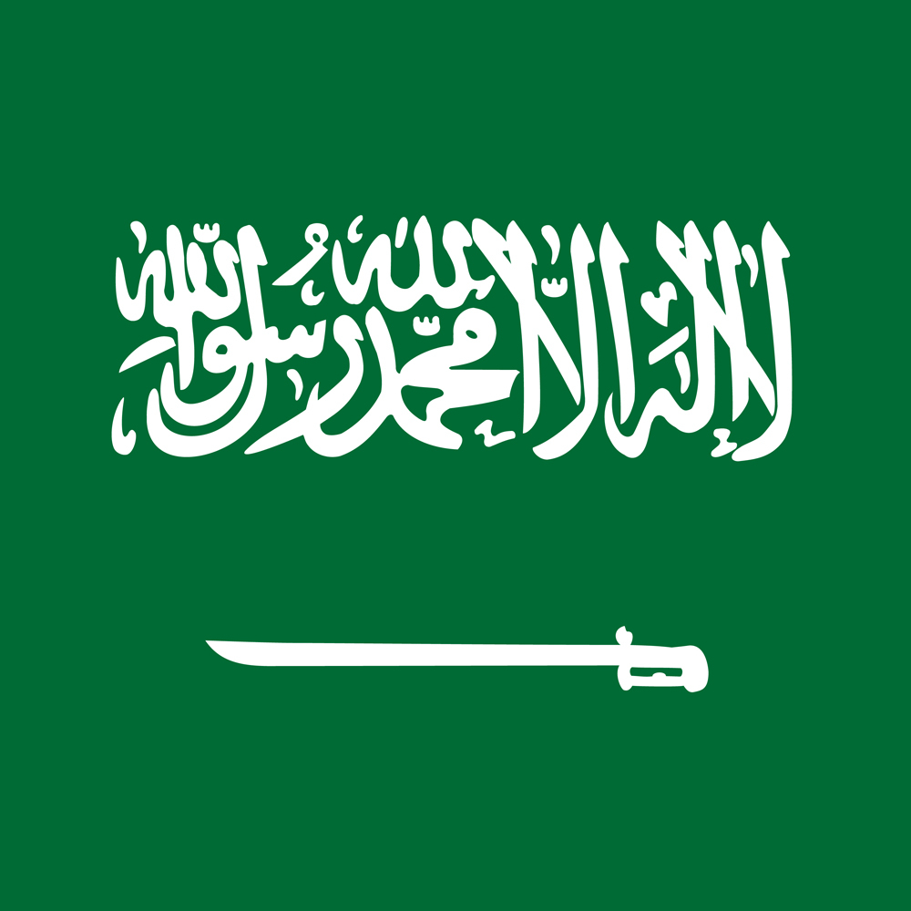 SAUDI ARABIA COUNTRY FLAG | STICKER | DECAL | MULTIPLE STYLES TO CHOOSE FROM - Bild 6 von 9