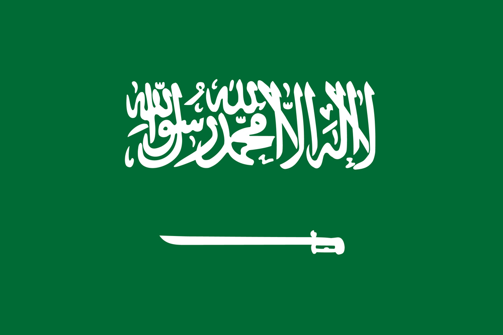 SAUDI ARABIA COUNTRY FLAG | STICKER | DECAL | MULTIPLE STYLES TO CHOOSE FROM - Bild 7 von 9