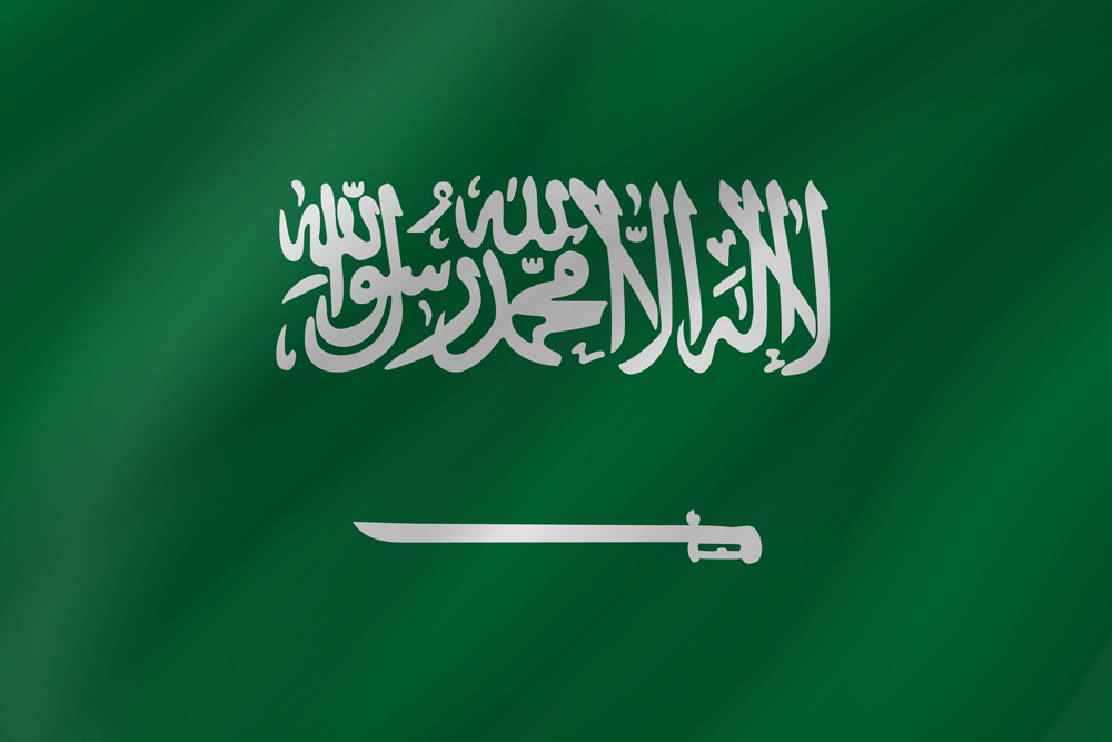 SAUDI ARABIA COUNTRY FLAG | STICKER | DECAL | MULTIPLE STYLES TO CHOOSE FROM - Bild 8 von 9