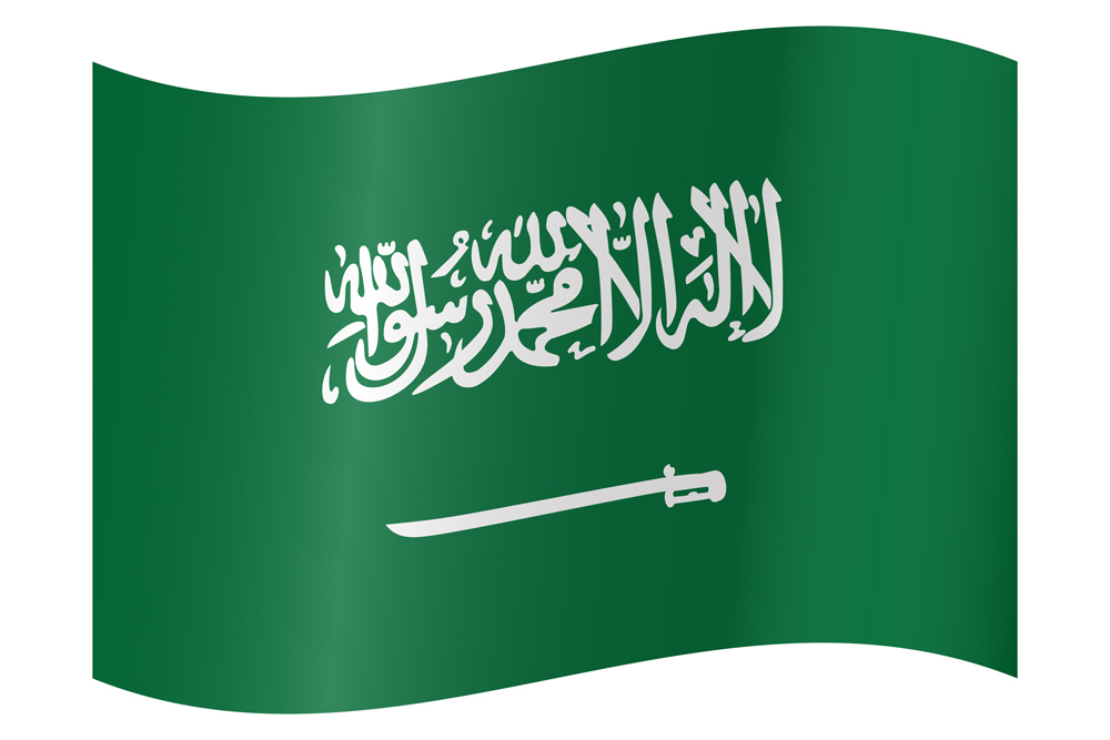 SAUDI ARABIA COUNTRY FLAG | STICKER | DECAL | MULTIPLE STYLES TO CHOOSE FROM - Bild 9 von 9