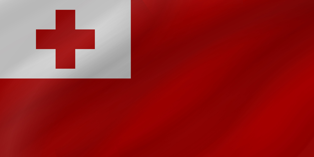 TONGA COUNTRY FLAG | STICKER | DECAL | MULTIPLE STYLES TO CHOOSE FROM - Bild 8 von 9