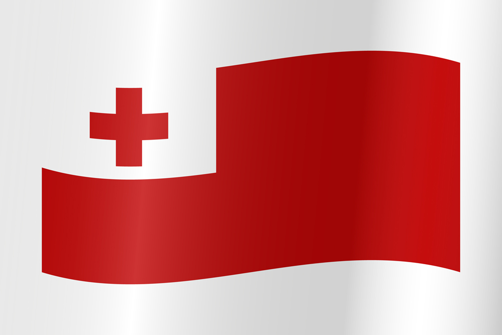 TONGA COUNTRY FLAG | STICKER | DECAL | MULTIPLE STYLES TO CHOOSE FROM - Bild 9 von 9