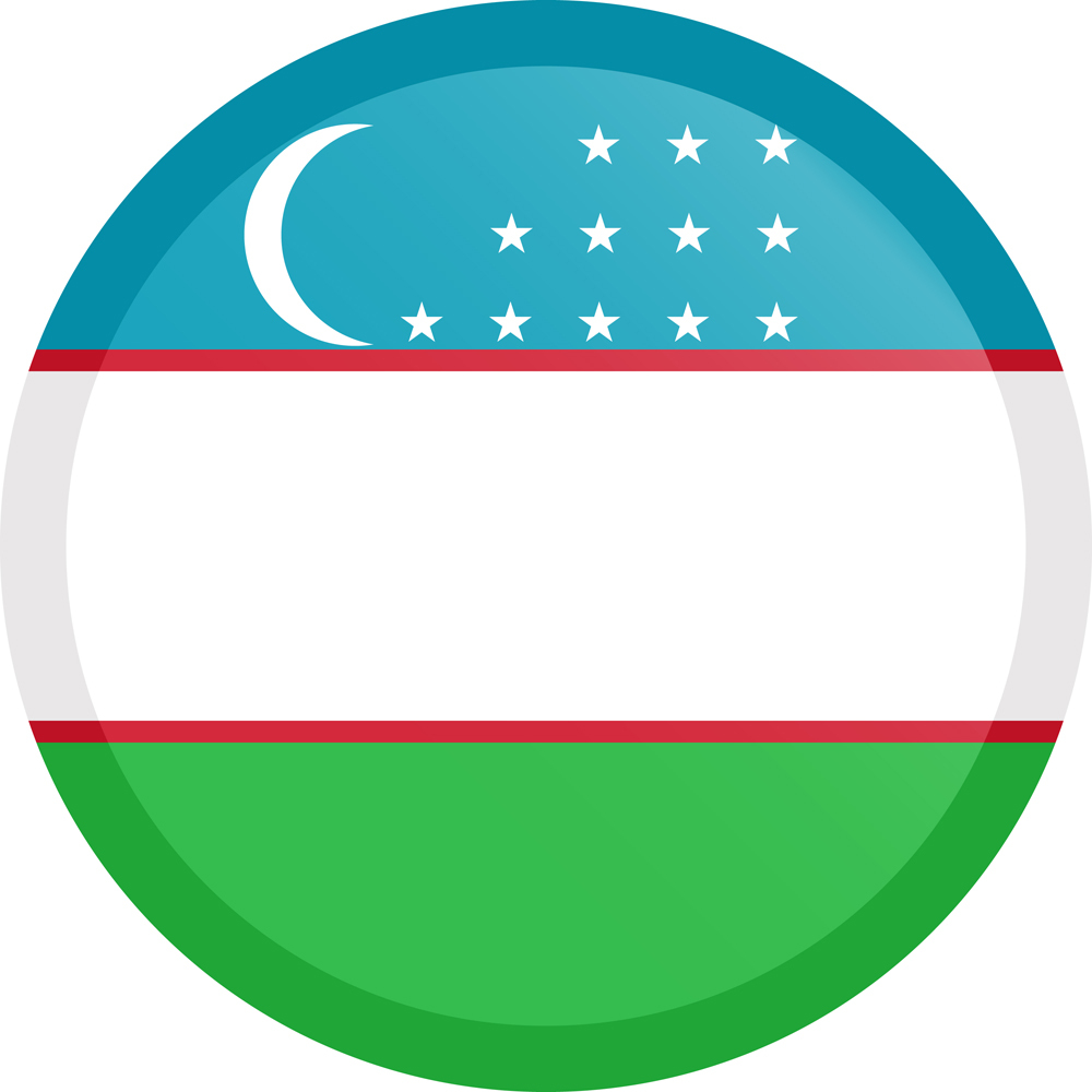 UZBEKISTAN COUNTRY FLAG | STICKER | DECAL | MULTIPLE STYLES TO CHOOSE FROM - Picture 3 of 9