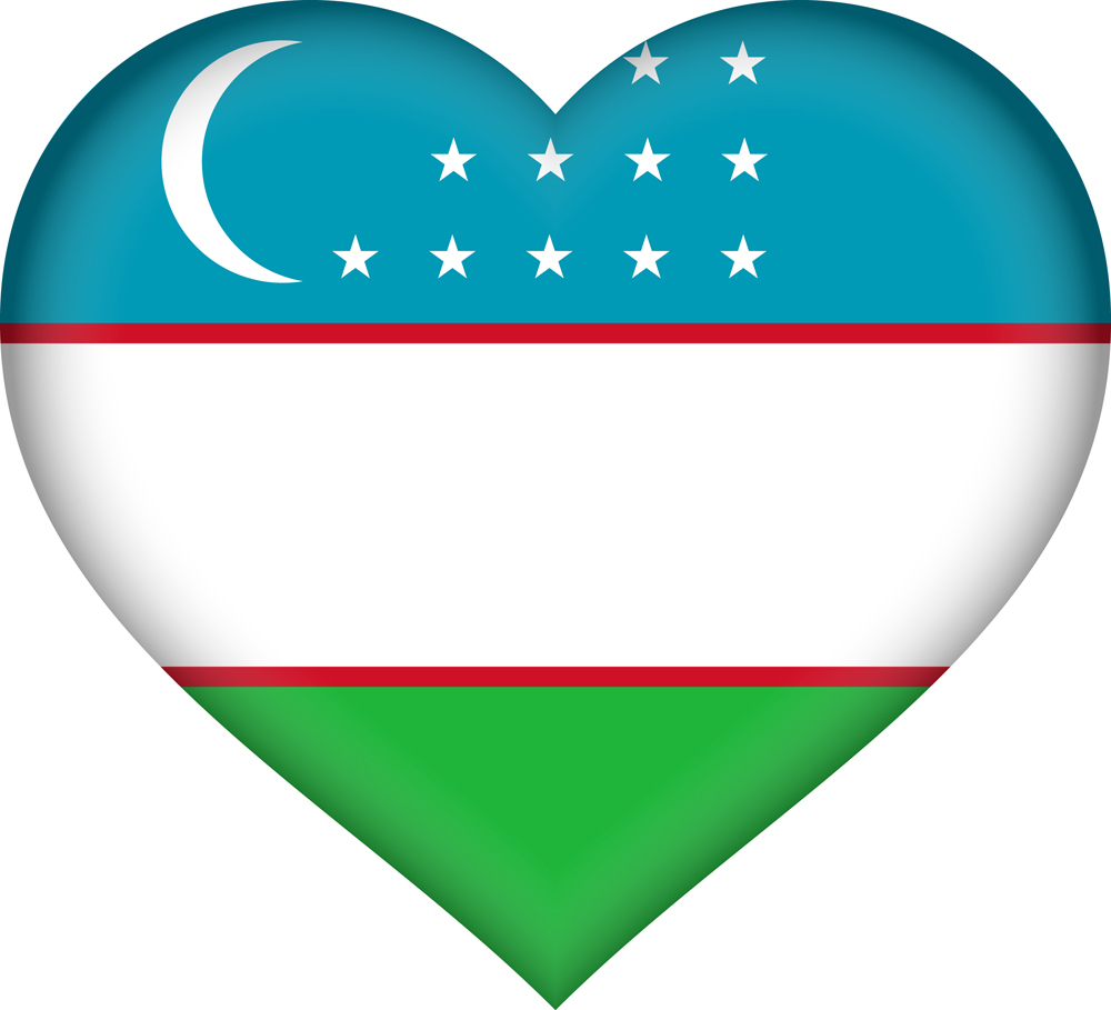 UZBEKISTAN COUNTRY FLAG | STICKER | DECAL | MULTIPLE STYLES TO CHOOSE FROM - Picture 5 of 9