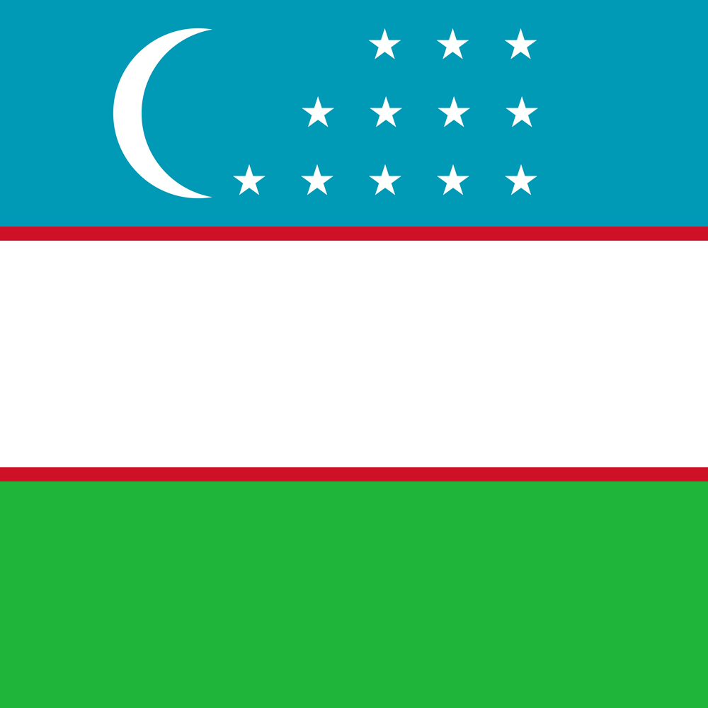 UZBEKISTAN COUNTRY FLAG | STICKER | DECAL | MULTIPLE STYLES TO CHOOSE FROM - Picture 6 of 9