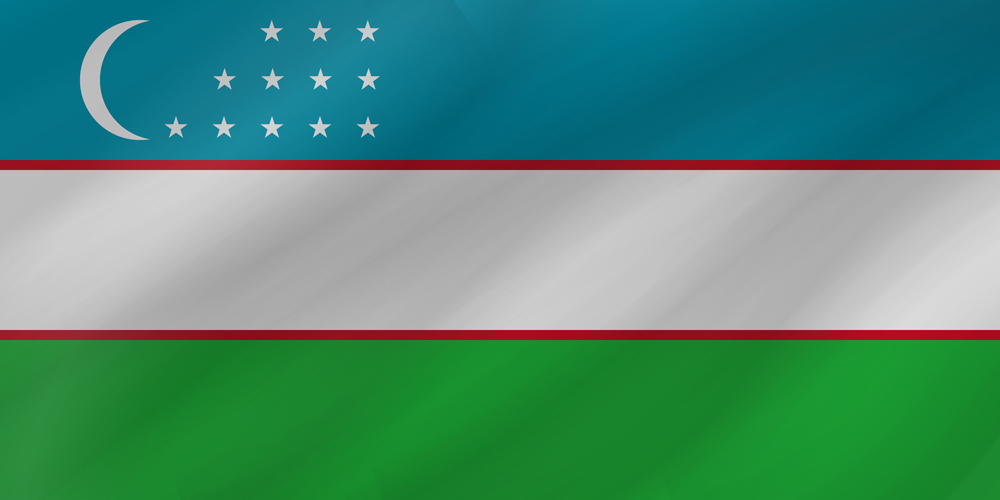 UZBEKISTAN COUNTRY FLAG | STICKER | DECAL | MULTIPLE STYLES TO CHOOSE FROM - Picture 8 of 9