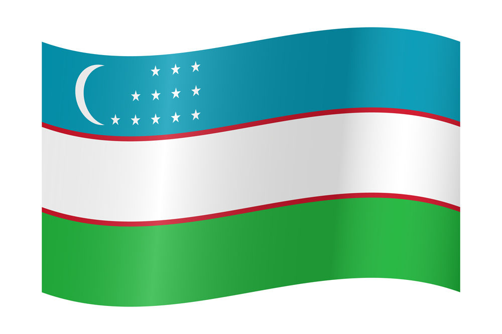 UZBEKISTAN COUNTRY FLAG | STICKER | DECAL | MULTIPLE STYLES TO CHOOSE FROM - Picture 9 of 9