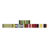 AASM, NEM, DLSM, ADM + TIMOR LESTE MEDAL RIBBON BAR STICKER / DECAL | WATER & UV PROOF