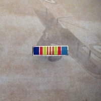 Vietnam Service Lapel Pin