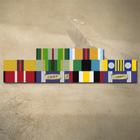 AASM 75+, AFG, IRQ, ASM, AOSM, DFLSM, ADM, ISAF, TL and NATO MEDAL RIBBON BAR DECAL STICKER