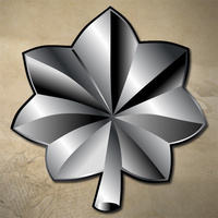 USMC / ARMY / AIR FORCE LT COLONEL INSIGNIA DECAL STICKER | 3" x 3.1" | O5 | 