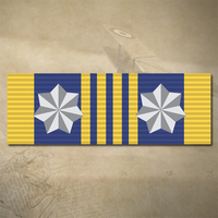 DEFENCE LONG SERVICE MEDAL (2 STARS) RIBBON BAR STICKER / DECAL | WATER & UV PROOF