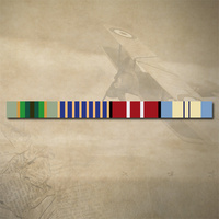 ASM 75+, NATIONAL MEDAL, ADM & UNEF II MEDAL RIBBON BAR STICKER / DECAL | WATER & UV PROOF